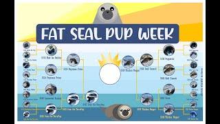 Fat Seal Pup Week On McMurdo Station, Antarctica (and elsewhere!)