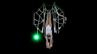 Spider web (aerial act)