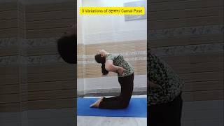 Ustrasana / Camel Pose 3 variations #ustrasana #yoga #yogaforbellyfat #yogapractice #sunita