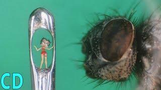 5 Smallest Things and Man Made Objects in the World - 2016