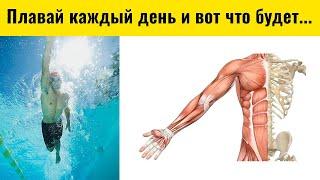 Польза плавания или 15 причин пойти в бассейн 