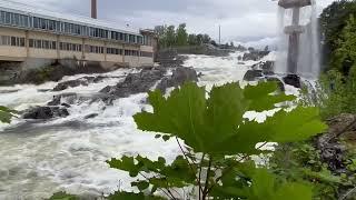 Gentleman Gipsy - Hønefossen, Norway