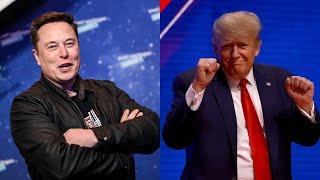 ‘Jealous Republicans’ unhappy Elon Musk is so ‘cosy’ with Donald Trump