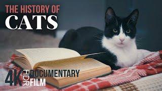 The History of CATS: From Fierce Predators to Sweet Pets - 4K HDR Animal Documentary Film