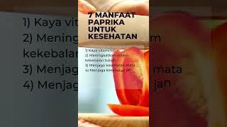 7 Manfaat Paprika untuk Kesehatan: Antioksidan, Vitamin, dan Keseimbangan Nutrisi