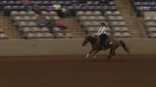 170520 Morgan McQuerry on Whizkey N Roses NP Futurity