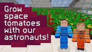 Dive into Tomatosphere Adventure!