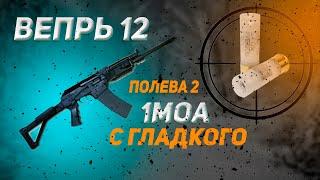 ВЕПРЬ 12  ПОЛЕВА 2