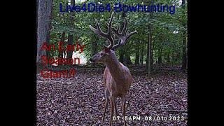 A Giant Early Season Buck Named "Beast". A True Maryland Monster Bow Kill #bowhunting #giant #deer