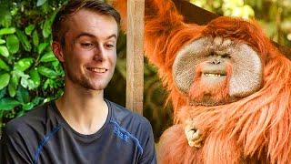 Volunteers' Experience of The Great Orangutan Project | The Great Projects