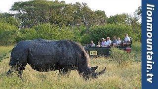 MALAMALA GAME RESERVE "It's All About the Wildlife"