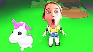 WHICH NORRIS NUT FINDS THE RAREST PET in Roblox Gaming w/ The Norris Nuts