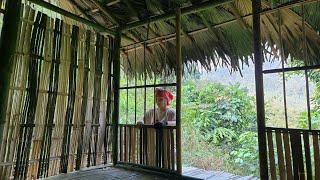 Single girl builds bamboo house alone - about 70% complete