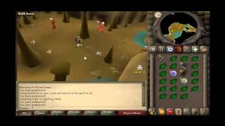 Runescape 07 | Moneymaking Guide #2 | Nadeeri | HD