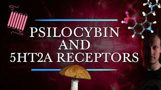 Psilocybin and 5HT2A receptors - Are They Necessary for the Therapeutic Effects?