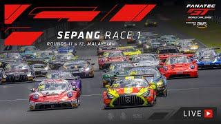 LIVE | Race 1 | Sepang | Fanatec GT World Challenge Asia 2023