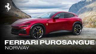 The Ferrari Purosangue - Norway