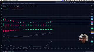 Recent Sell Off - Clover Health Stock Chart Analysis 