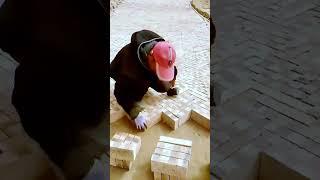 The process of laying bricks = a good method worth sharing