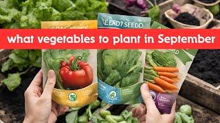 what to plant in September for fall harvest? What vegetables to plant in September