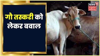 Narmadapuram News: Cow Smuggling को लेकर बड़ा बवाल, 3 तस्करों के साथ मारपीट में एक की मौत | MP News