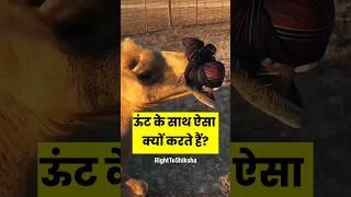 ऊंट के साथ ऐसा क्यों करते हैं? By Right To Shiksha