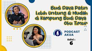 #Podcast #AKUA edisi 6 - #budidaya lebih untung dan mudah di kampung #perikanan budi daya #oku timur