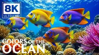 Deep Ocean Wonders 8K (ULTRA HD)  Mesmerizing Marine Life and Calming Melodies