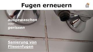 gerissene ausgespülte Fugen erneuern