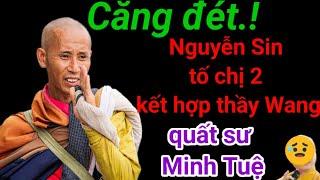 Tới công chuyện! Nguyễn Sin tố chị 2 kết hợp thầy Quang quất sư Thích Minh Tuệ?