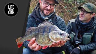 PERCH FISHING WITH LURES - How to fish a canal