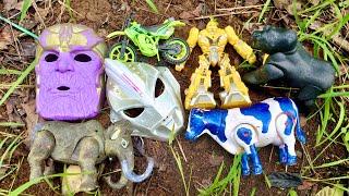 Menemukan Mainan Hewan, Gorilla, Sapi, Buaya, Badak, Motor Balap, Topeng Ultraman, Robot Transformer