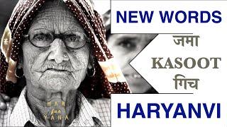 Words we use on Daily Basis | Learn Haryanvi Language | Yogi Ahlawat