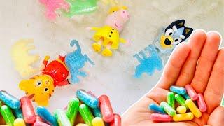 Amazing Magic Growing Capsules In Water ANIMALS Shapes Daniel Tiger Peppa Pig and Bluey Toys