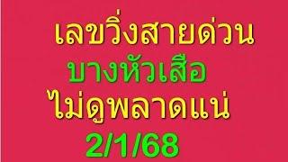 เลขวิ่งสายด่วนบางหัวเสือ ไม่ดูพลาดแน่ 2/1/68