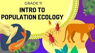 Intro to Population ecology | Population Ecology