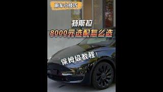 特斯拉花8000元选配怎么选？轮毂、白内饰、车漆哪个更值得？