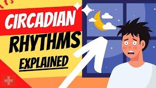 Circadian Rhythms Explained SUPER FAST