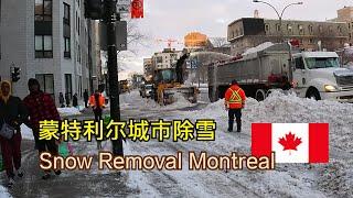 Montreal Snow Removal operation蒙特利尔除雪作业——加拿大海哥Hihai Channel