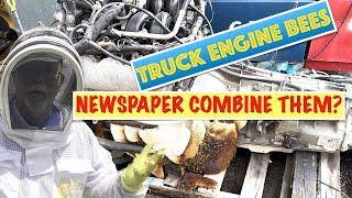 Truck Motor Bees with Newspaper Combine