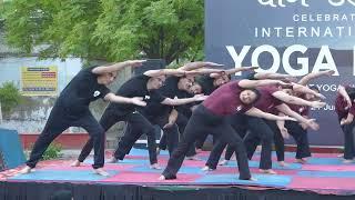 Unity in Motion | Group Performance on Yoga Day 2024 | Yoga with VKB