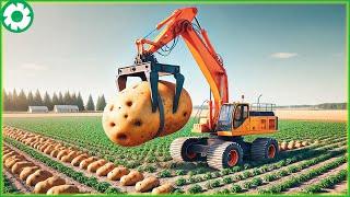 Transporting Giant Potatoes This Way - Harvesting Potatoes with Modern Agricultural Technology