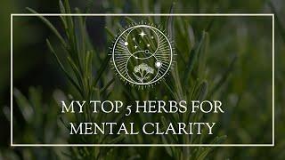 My Top 5 Herbs for Mental Clarity