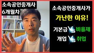 소속공인중개사가 가난한이유! 소공 5개월 일하면서 느낀점 부동산 창업과 취업