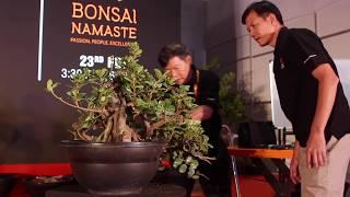 Bonsai demo by Tran Thang