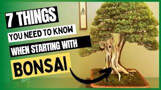 7 things you need to know before starting with bonsai
