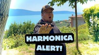 Playing the Harmonica | feat. Bassfahrer | Thomann