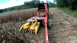 Dion F64 Rotary Head Chopping Sweet Corn