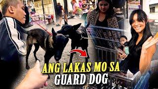 NUMBER 1 SELLER NG GUARD DOG YAN / GROTTO PET MARKET DAY