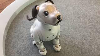 Aibo ERS-1000 Cutest Tricks and Skits